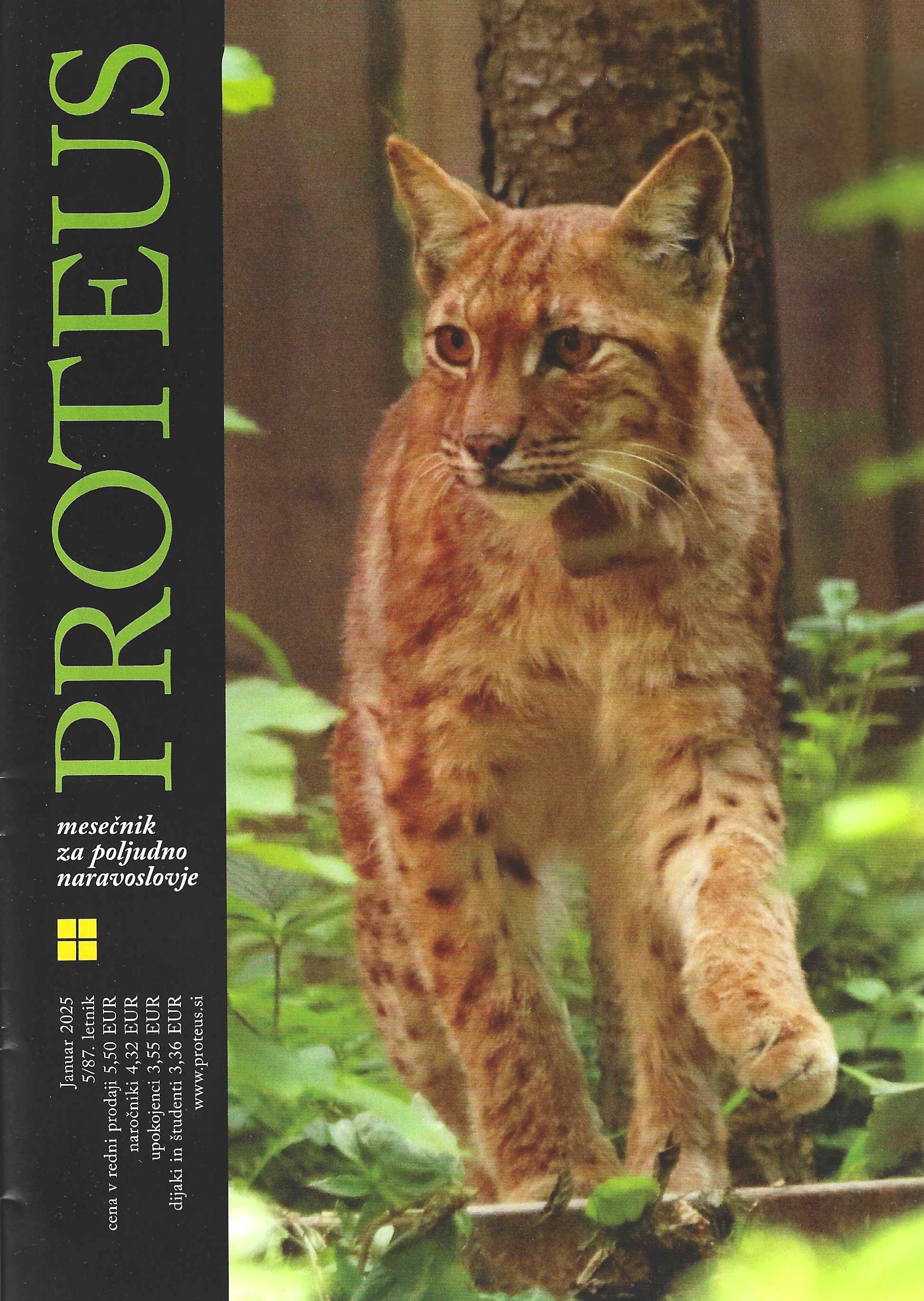 Proteus